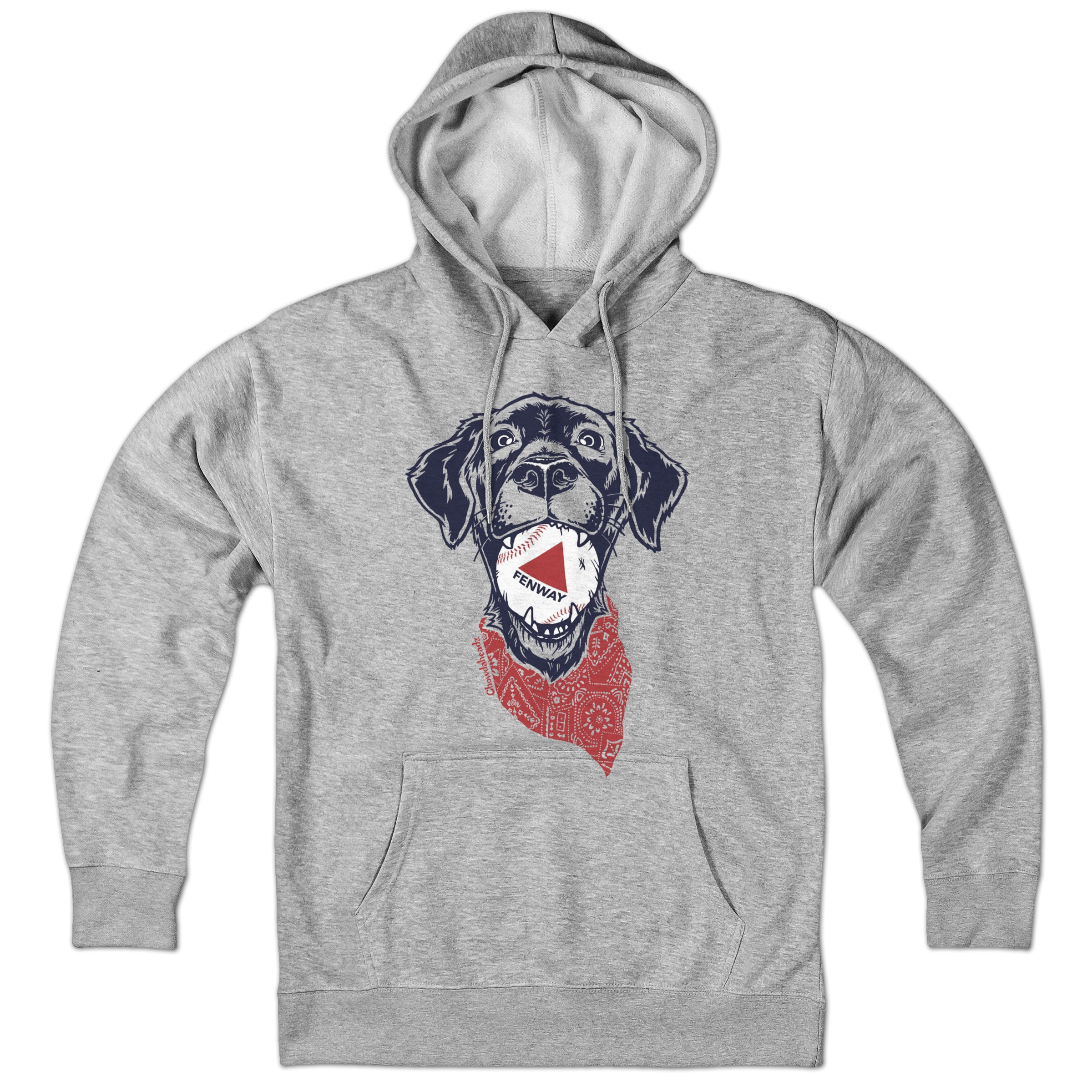 Fenway Dog Hoodie