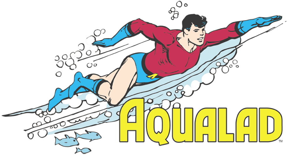 Dc Comics Aqualad – Pullover Hoodie