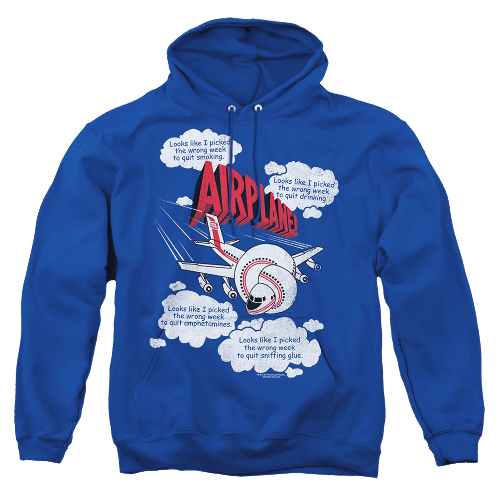 Airplane Picked The Wrong Day – Pullover Hoodie