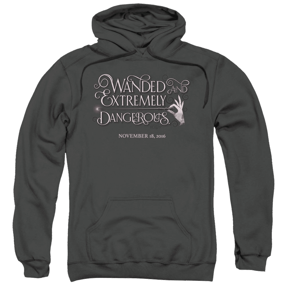 Fantastic Beasts Wanded – Pullover Hoodie