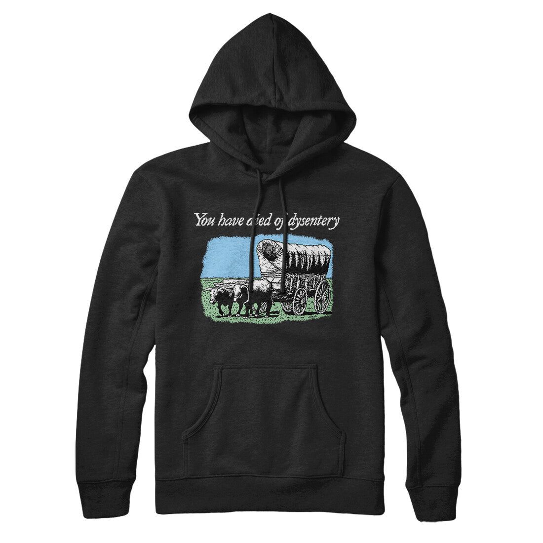 You Have Died Of Dysentery Hoodie